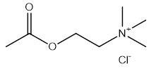 Acetylcholine Chloride